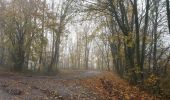 Tour Wandern Philippeville - Jamagne 291122 - Photo 10