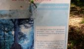 Tour Wandern Oissel - Oissel gare vers le catelier - Photo 4