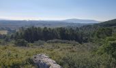 Tour Wandern Frontignan - Balcon de Thau (variante) - Photo 3