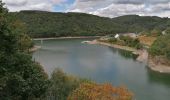 Excursión Senderismo Lac de la Haute-Sûre - Autour du lac D'Esch sur Sûre  - Photo 5
