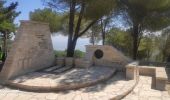 Tour Zu Fuß Nesher - נוף הכרמל - Photo 3