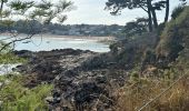 Trail Walking Cancale - Boucle pointe du Grouin Cancale - Photo 6