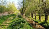 Tour Wandern Grez-Doiceau - Pécrot - Photo 2