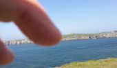 Randonnée Marche Ouessant - Lampaul - tour nord d'Ouessant - Photo 6