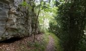 Excursión Senderismo Châtillon-en-Diois - Circuit des Baumes - Pont de vachères-Soubreroche - Boulc - Photo 3