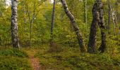 Trail On foot Skuteč - CZ-7342 - Photo 9