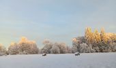 Tocht Stappen Spa - tour de la fagne de Malchamps dans la neige  - Photo 2