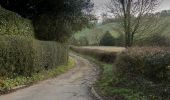 Excursión A pie Derbyshire Dales - Royal Shrovetide Challenge Walk (down'ards) - Photo 6