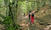Percorso Marcia Glandage - Tour Montagne de belle Motte et sucettes de Borne Via Glandage - Photo 7
