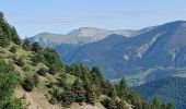 Tocht Stappen Verdaches - VERDACHE Tour de Gareous , pâturages du Blayeul n - Photo 12