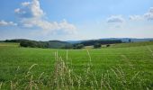 Tour Wandern Bauschleiden - 2023-06-19_14h57m44_eislek-pad-boulaide-1 - Photo 18