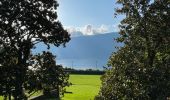 Randonnée  Aix-les-Bains - Colline du poète  - Photo 9