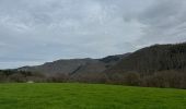 Excursión Marcha nórdica Vianden - Gr5 E2 de  Vianden à Dasbourg Pont - Photo 8