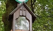 Tour Wandern Langstein - Lac de la Pierre-Percée - château de Salm - grotte des Poilus et l'observatoire - Photo 15