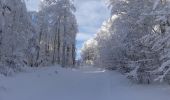 Excursión Raquetas de nieve Léoncel - Le Grand Echaillon - Les Crêtes de la Sausse - Photo 3