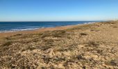 Tocht Stappen Tarnos - Promenade sud côte Landaise  - Photo 10