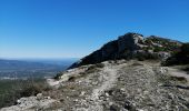 Excursión Senderismo Plan-d'Aups-Sainte-Baume - la sainte beaume  - Photo 7