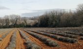 Tour Wandern La Garde-Adhémar - la garde adhemar - Photo 11