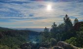 Tour Wandern Le Muy - La Combe Renaude et le Pic Rébéquier - Photo 15