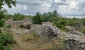 Tour Wandern Châteauneuf-Val-Saint-Donat - CHÂTEAU NEUF VAL SAINT DONAT. Circuit des bories o l s - Photo 14