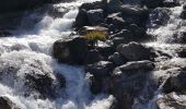 Excursión Senderismo Pralognan-la-Vanoise - Pralognan - Les Prioux  Lac de Chalet Clou - Photo 11