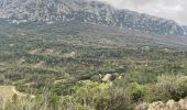 Randonnée Marche Valflaunès - Les crêtes de l’Hortus à partir de Valflaunes - Photo 4