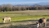 Tour Wandern Chavannes - Etang du Mouchet - bois des Anes Chavannes - Photo 1