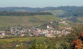 Trail On foot Oberstenfeld - DE-8 - Photo 1