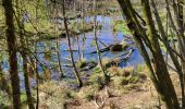 Tour Wandern Gedinne - Willerzie 190425 - Photo 16