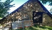 Tour Wandern Embrun - rando suf le mpny guillaume montée par le torrent de Marthe  descentr par la route forestière de bois de  Vezin   - Photo 3