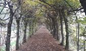 Trail Walking Theux - gervova . chemin du ninglinspo . chifgotte . charmille . gervova - Photo 6