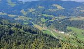 Tour Zu Fuß Frauenstein - Pulst-Sörg-Lorenziberg-Runde - Photo 3