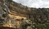 Tocht Stappen Minerve - Minerve - Gorges du Briant par le GR77 - Photo 12