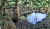 Randonnée Marche Combiers - Rando de Combiers à Larochebeaucourt par chez Maurice - Photo 3