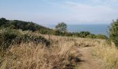 Tocht Stappen Villers-sur-Mer - villers les vaches noires, le Montcel - Photo 6