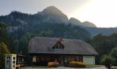 Tour Zu Fuß Admont - Wanderweg 77, Sonnenseitenweg - Photo 2