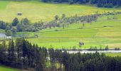 Tour Zu Fuß Hollersbach im Pinzgau - Bienenlehrpfad - Photo 3