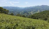 Tour Wandern Ispoure - Pic D'Arradoi  au départ d' Isbourre - Photo 6