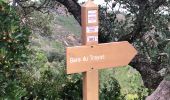 Tocht Stappen Saint-Raphaël - massif de l'Esterel : autour des grues  - Photo 20