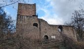 Tour Wandern Egisheim - suuntoapp-Hiking-2023-12-29T09-05-16Z - Photo 2