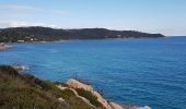 Excursión Senderismo Ramatuelle - PRESQU'ÎLE DE SAINT-TROPEZ - DE L'ESCALET AU CAP TAILLAT - Photo 12