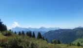 Tocht Stappen Verchaix - col du jour plane . la bourgeoise . pointe d angolon  . nyon du crot . col de joux  plane  - Photo 18