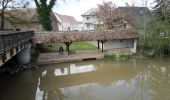 Percorso Marcia Kolbsheim - canal de la Bruche Kolbsheim vers Strasbourg  - Photo 2