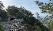 Tour Wandern Six-Fours les Plages - Sentier du littoral  - Photo 7