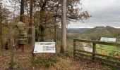 Trail Nordic walking Florenville - Herbeument 9km heen en terug  - Photo 6