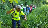 Randonnée Marche Grand'Rivière - Boucle Fond Potiche - Photo 7