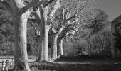 Excursión Senderismo Le Muy - Pk Piste des Corbières - Rocher de la fille d'Isnard - Photo 1