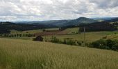 Excursión Bici de carretera Langogne - NAUSSAC - CHAPEAUROUX - Photo 8