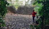 Tour Wandern Le Lorrain - Boucle Crabière - Anse Rivière Rouge - Photo 2