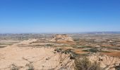 Excursión Bici de montaña Arguedas - arguedas 2 - Photo 2